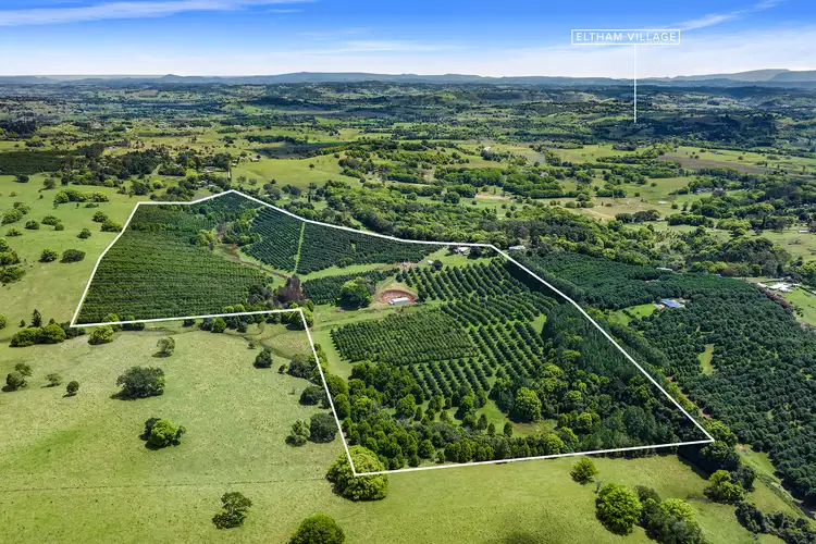 Second view of Homely house listing, 690 Cowlong Road, Eltham NSW 2480