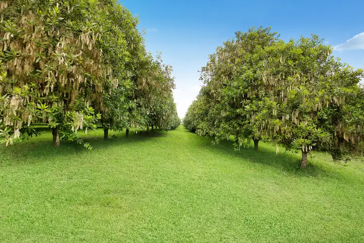 Fourth view of Homely house listing, 690 Cowlong Road, Eltham NSW 2480