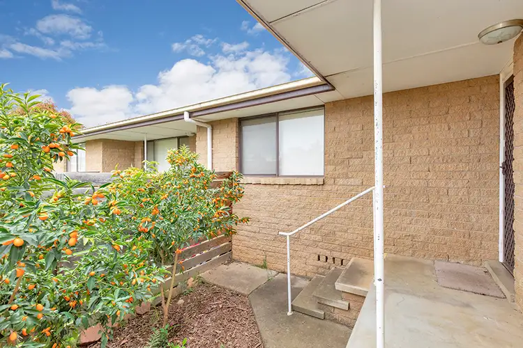 Main view of Homely unit listing, 3/4 Woodstock Street, Tamworth NSW 2340