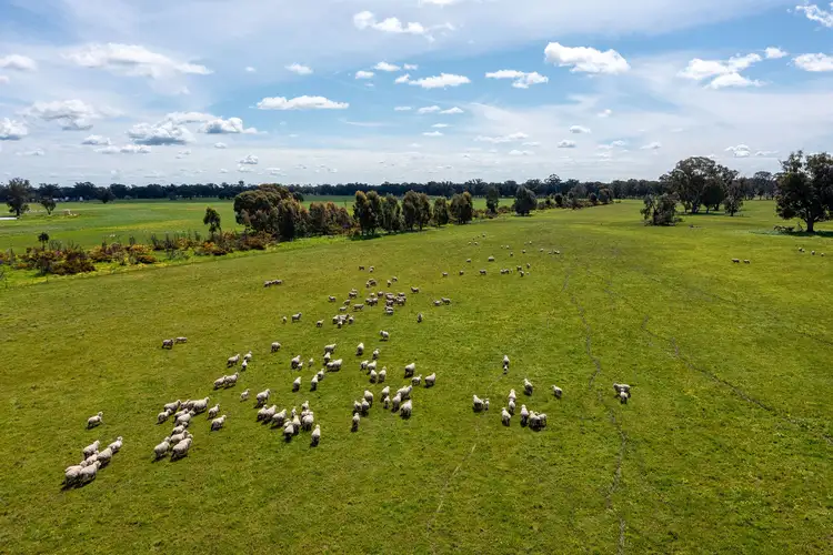 356 Longwood-Shepparton Road, Pranjip, Euroa VIC 3666