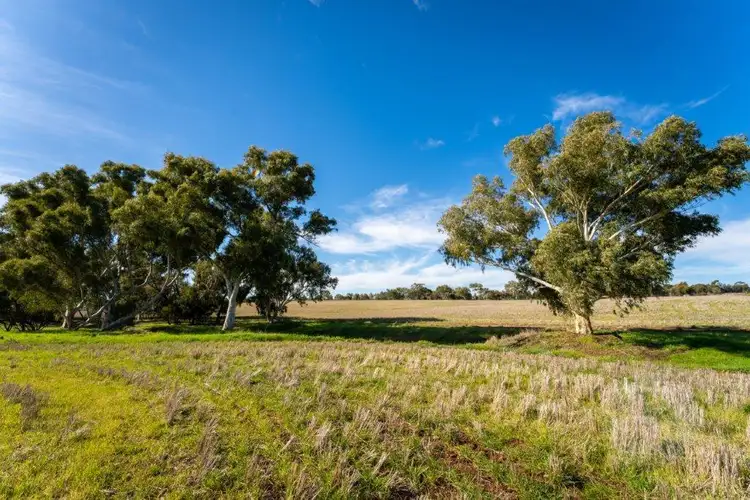 Seventh view of Homely rural property listing, 93 Carroll Street, Grass Valley WA 6403