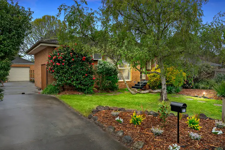 Main view of Homely house listing, 31 Acacia Avenue, Mentone VIC 3194