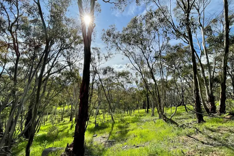 Lot 34 Gillentown Road, Gillentown SA 5453
