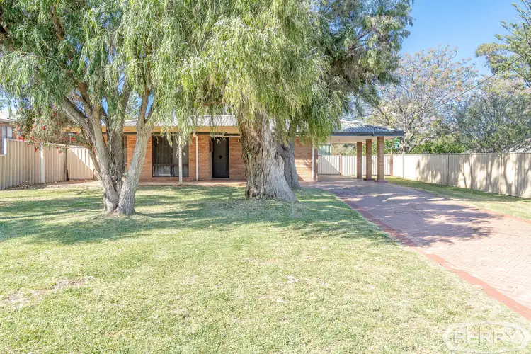 17 Kabbarli Street, Falcon WA 6210