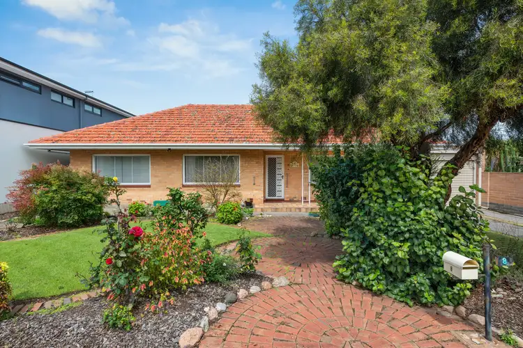 8 Daphne Street, Kurralta Park SA 5037