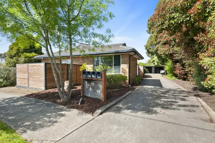 Main view of Homely unit listing, 1/75 Cuthberts Road, Alfredton VIC 3350