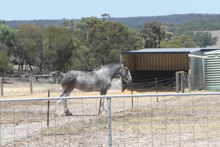 Third view of Homely rural property listing, 8488 Brookton Highway, Brookton WA 6306