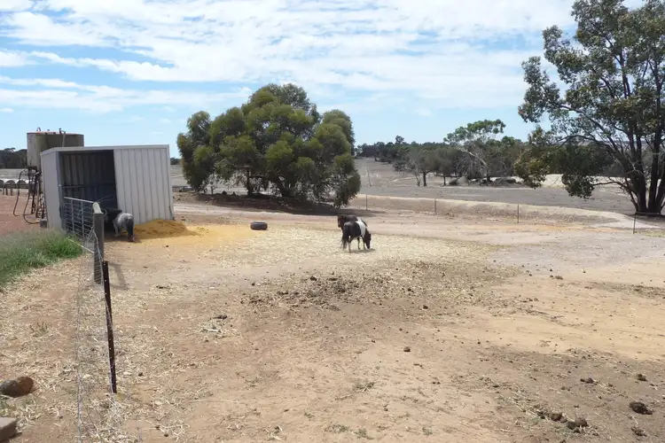 Fifth view of Homely rural property listing, 8488 Brookton Highway, Brookton WA 6306