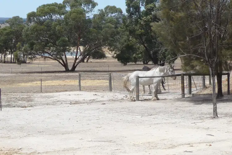 Sixth view of Homely rural property listing, 8488 Brookton Highway, Brookton WA 6306