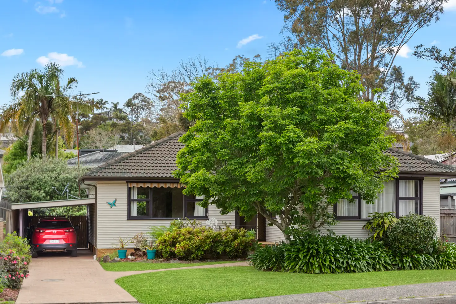 Main view of Homely house listing, 161 Willandra Road, Cromer NSW 2099