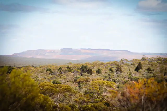 LOT 29 Munyaroo Road, Cowell SA 5602
