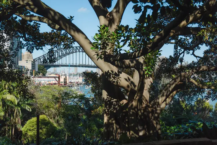 Third view of Homely apartment listing, 205/61 Lavender Street, Milsons Point NSW 2061