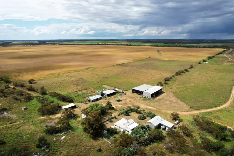 Second view of Homely rural property listing, 5788 Browns Well Highway, Peebinga SA 5304