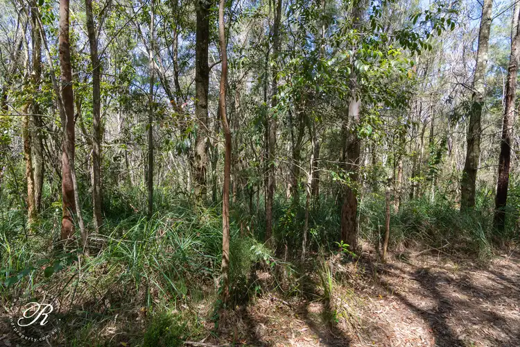 Third view of Homely rural property listing, LOT 916 Estuary Street, North Arm Cove NSW 2324