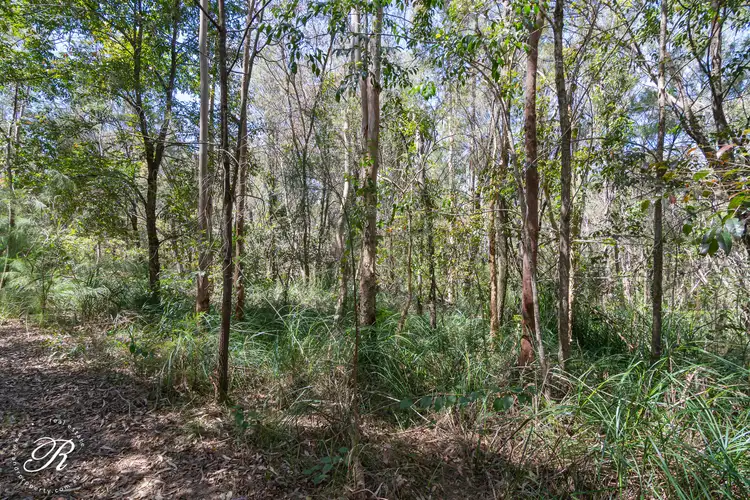 Fourth view of Homely rural property listing, LOT 916 Estuary Street, North Arm Cove NSW 2324