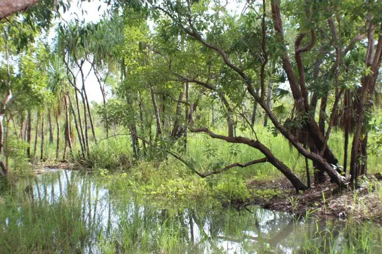 1070 Rum Jungle Road, Rum Jungle NT 822