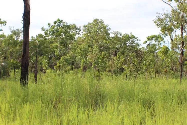 Third view of Homely rural property listing, 1070 Rum Jungle Road, Rum Jungle NT 822