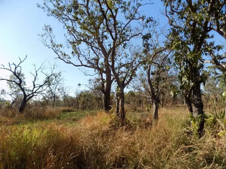 Fourth view of Homely rural property listing, 1070 Rum Jungle Road, Rum Jungle NT 822