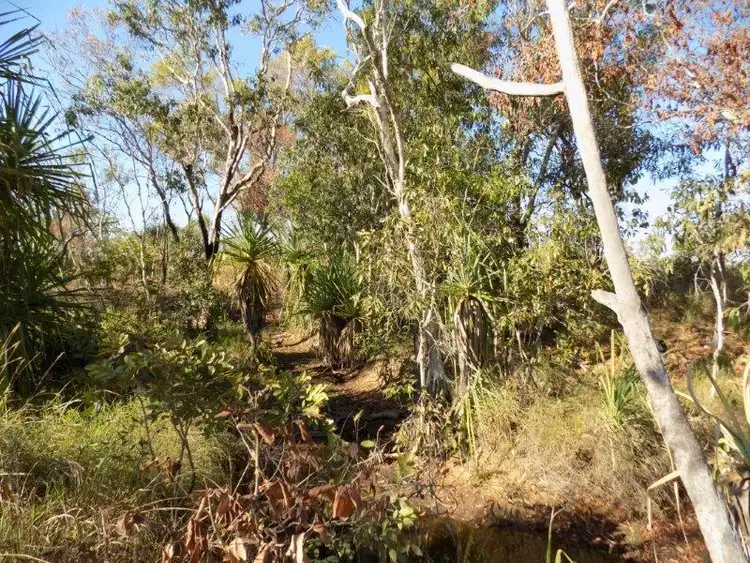 Fifth view of Homely rural property listing, 1070 Rum Jungle Road, Rum Jungle NT 822