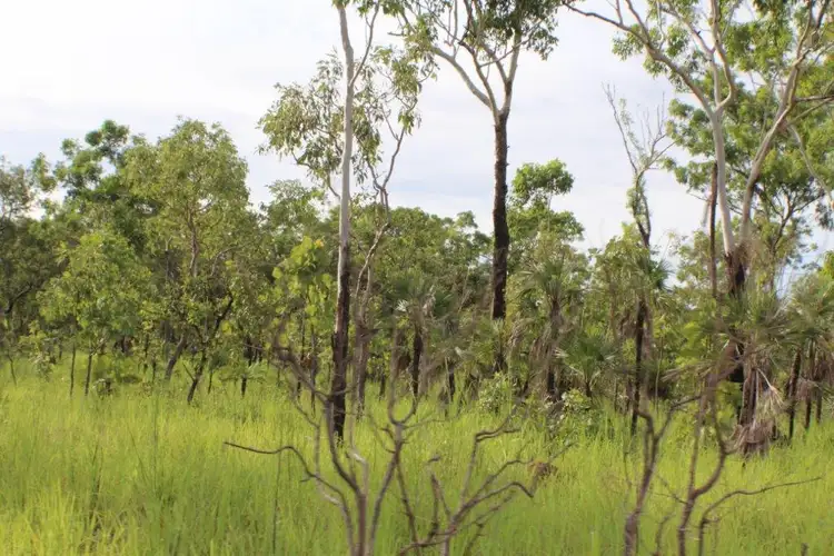 Sixth view of Homely rural property listing, 1070 Rum Jungle Road, Rum Jungle NT 822