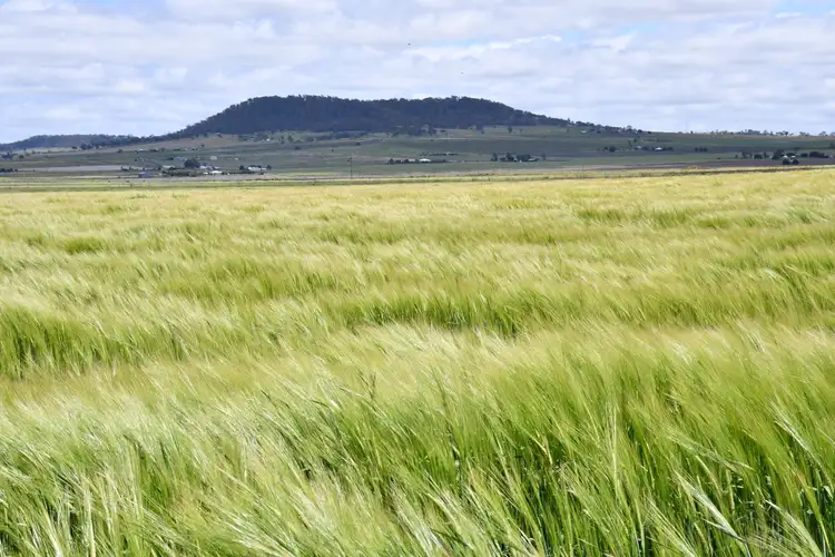 Second view of Homely rural property listing, 580 Hirstvale Road Road, Budgee QLD 4359