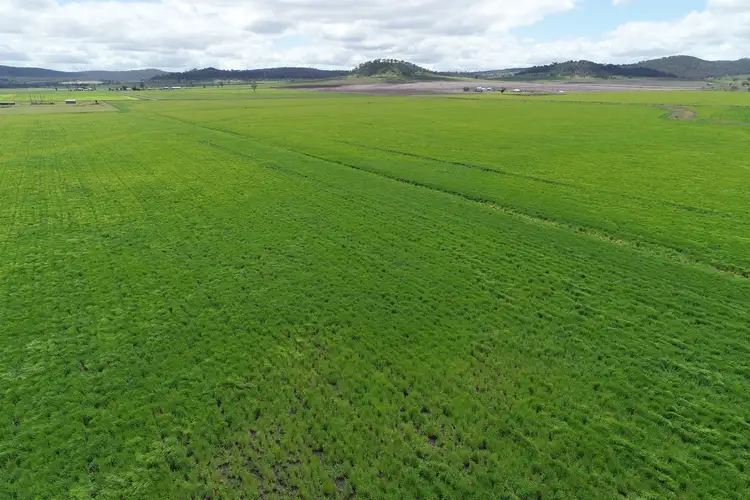 Third view of Homely rural property listing, 580 Hirstvale Road Road, Budgee QLD 4359