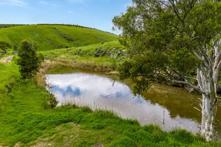 Fourth view of Homely rural property listing, Lots/14 & 15 Eclair Mine Road, St Ives SA 5252