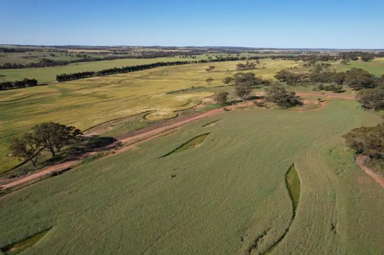 Main view of Homely rural property listing, LOT 1325 Hassell Road, East Pingelly WA 6308