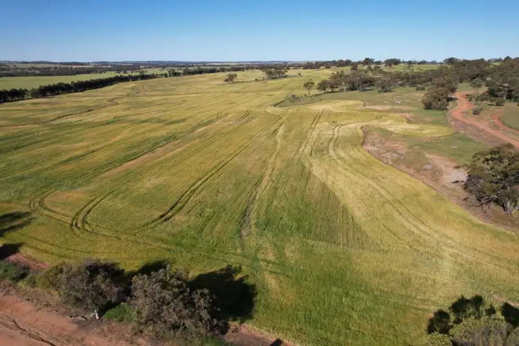 Fifth view of Homely rural property listing, LOT 1325 Hassell Road, East Pingelly WA 6308
