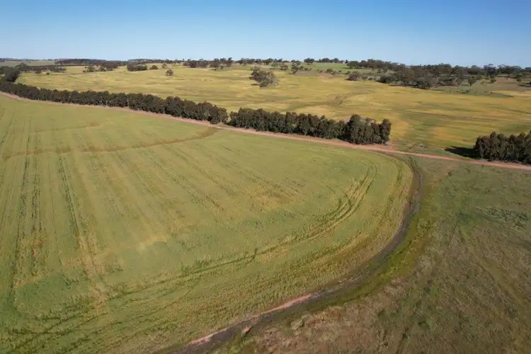 Sixth view of Homely rural property listing, LOT 1325 Hassell Road, East Pingelly WA 6308