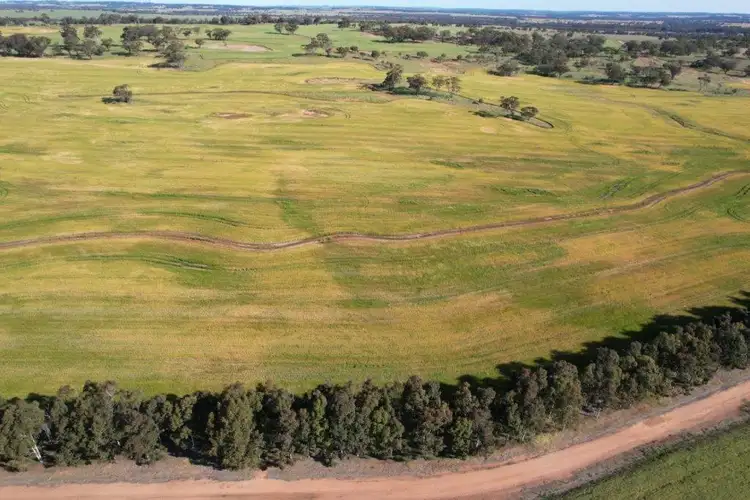 Seventh view of Homely rural property listing, LOT 1325 Hassell Road, East Pingelly WA 6308