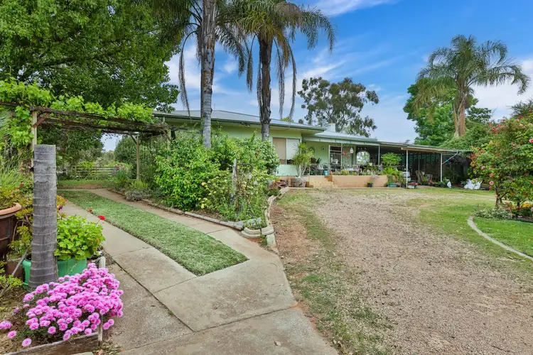 Main view of Homely house listing, 3114 Sixteenth Street, Irymple VIC 3498