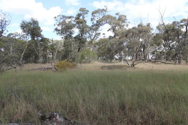 Seventh view of Homely land listing, LOT 100 Pearce Road, Woogenellup WA 6324