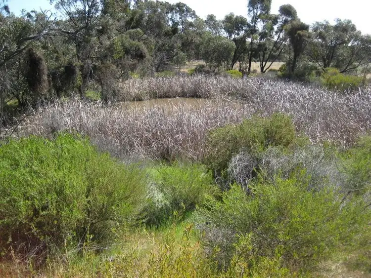 Second view of Homely rural property listing, LOT 66 Ainsworth Road, Woolshed Flat VIC 3518