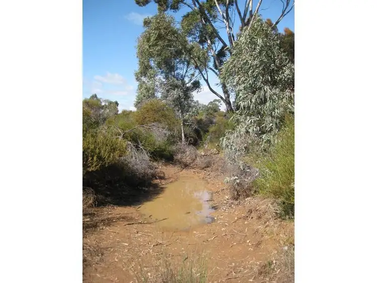 Seventh view of Homely rural property listing, LOT 66 Ainsworth Road, Woolshed Flat VIC 3518