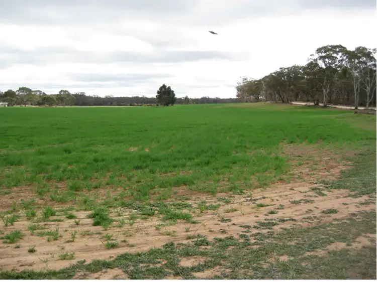 Main view of Homely rural property listing, CA 2 Sec 2 Old Boort Rd (cnr Sailors Gully Rd) Road, Woolshed Flat VIC 3518