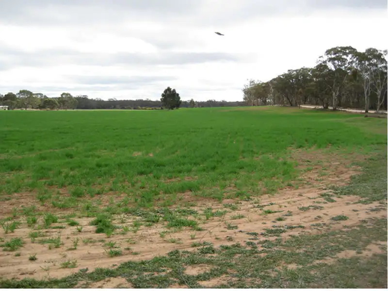 Main view of Homely rural property listing, CA 2 Sec 2 Old Boort Rd (cnr Sailors Gully Rd) Road, Woolshed Flat VIC 3518
