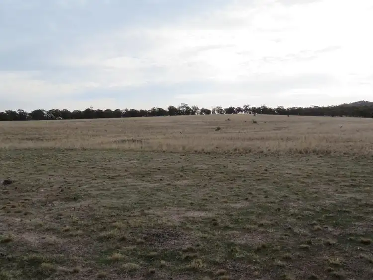 Seventh view of Homely rural property listing, CA 52 Borung Wedderburn Road, Woolshed Flat VIC 3518