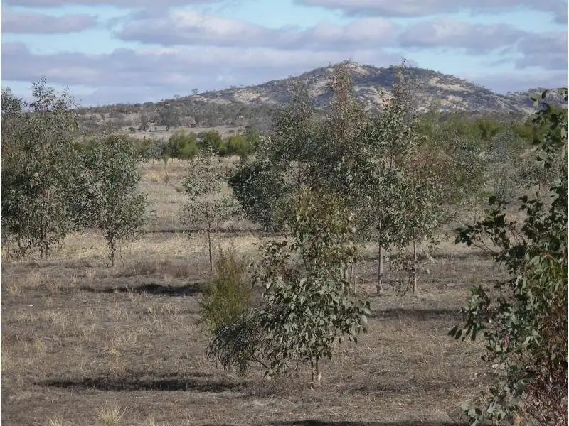 Main view of Homely land listing, Wedderburn Junction, Glenalbyn VIC 3517