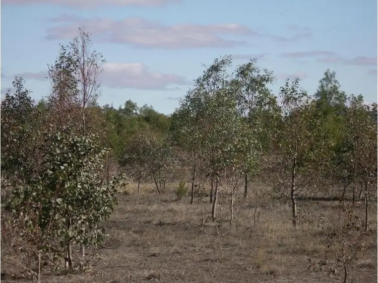 Third view of Homely land listing, Wedderburn Junction, Glenalbyn VIC 3517