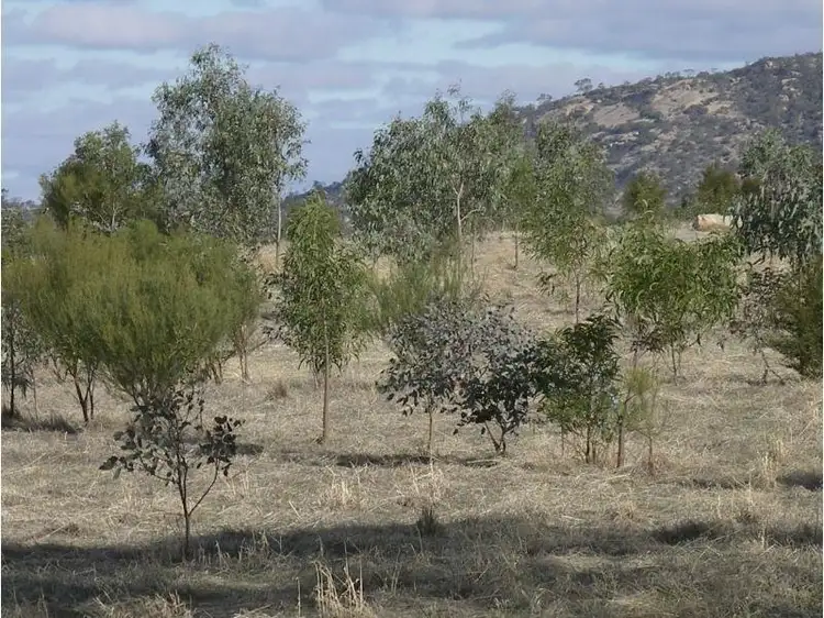Fifth view of Homely land listing, Wedderburn Junction, Glenalbyn VIC 3517