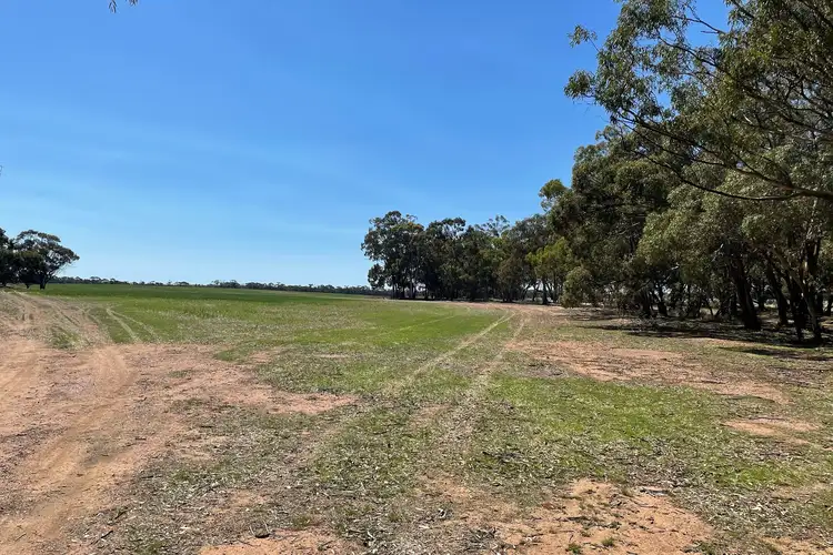 Main view of Homely rural property listing, LOT CA 6B, 6C, 6D Cnr Nine Mile South & Nine Mile-Wedderburn Road, Nine Mile VIC 3518