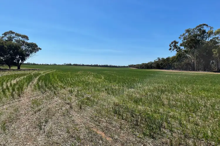 Second view of Homely rural property listing, LOT CA 6B, 6C, 6D Cnr Nine Mile South & Nine Mile-Wedderburn Road, Nine Mile VIC 3518