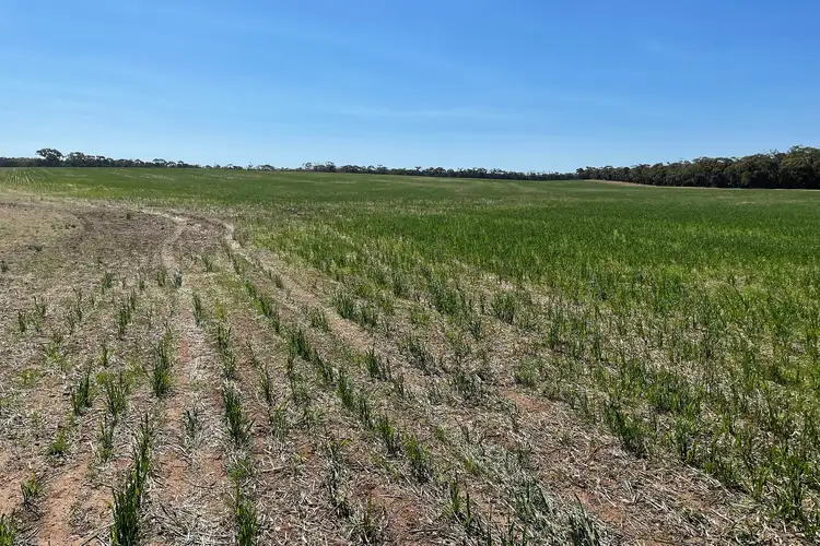 Third view of Homely rural property listing, LOT CA 6B, 6C, 6D Cnr Nine Mile South & Nine Mile-Wedderburn Road, Nine Mile VIC 3518