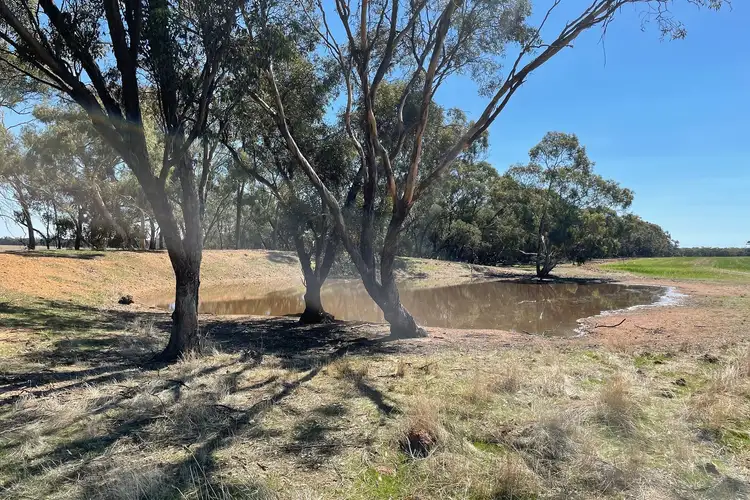 Fifth view of Homely rural property listing, LOT CA 6B, 6C, 6D Cnr Nine Mile South & Nine Mile-Wedderburn Road, Nine Mile VIC 3518