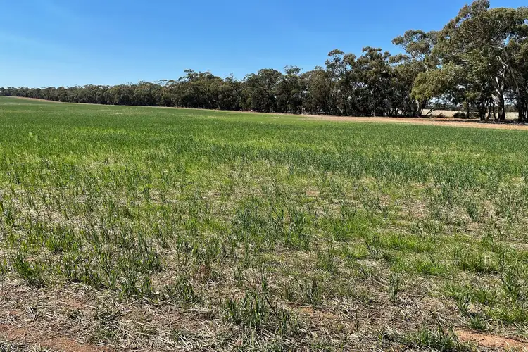 Sixth view of Homely rural property listing, LOT CA 6B, 6C, 6D Cnr Nine Mile South & Nine Mile-Wedderburn Road, Nine Mile VIC 3518