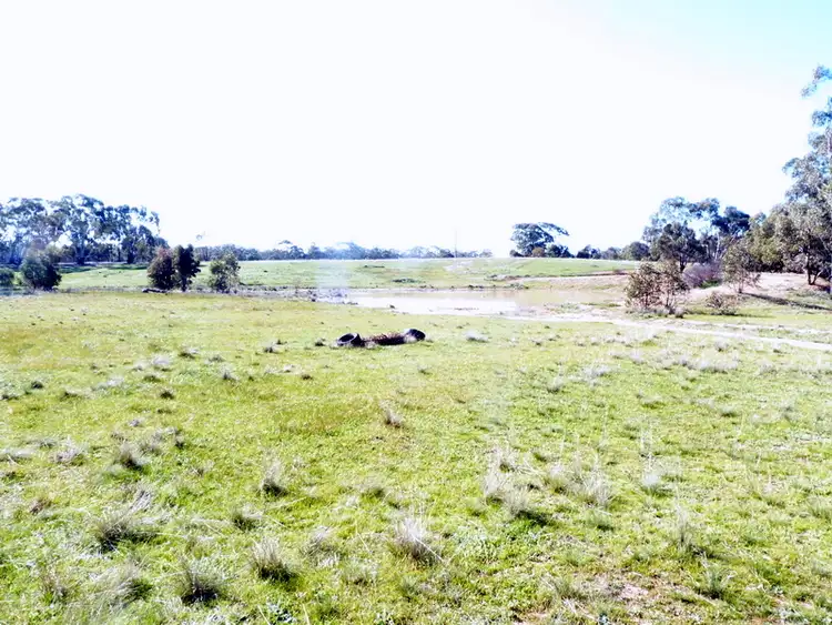Seventh view of Homely rural property listing, 15 Mount Kerang Road, Skinners Flat VIC 3518
