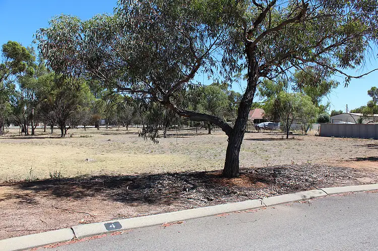 4 Burges Street, Meckering WA 6405