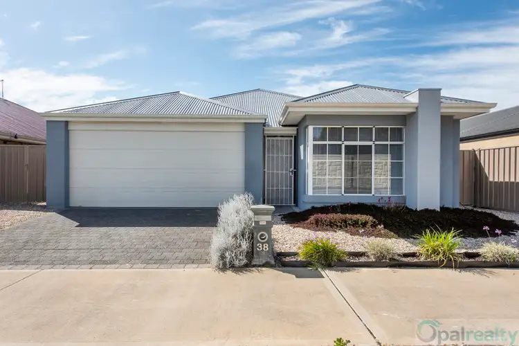 Main view of Homely house listing, 38 Brandeis Grove, Karnup WA 6176