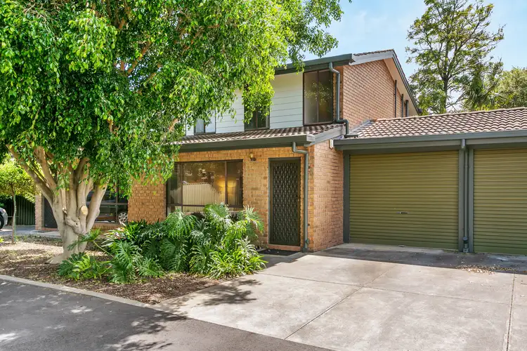 6/241 Anzac Highway, Plympton SA 5038
